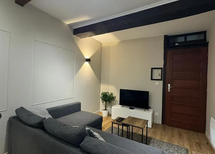 Appartement Charmant Hypercentre Avec Patio Prive Et Parking