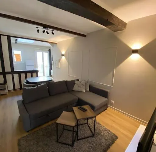 Appartement Charmant Hypercentre Avec Patio Prive Et Parking